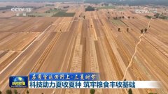 <strong>从田间到粮</strong>